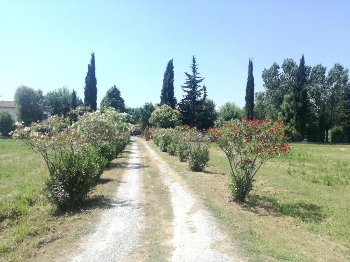 B&B Il Parco San Giuliano Terme Exterior foto